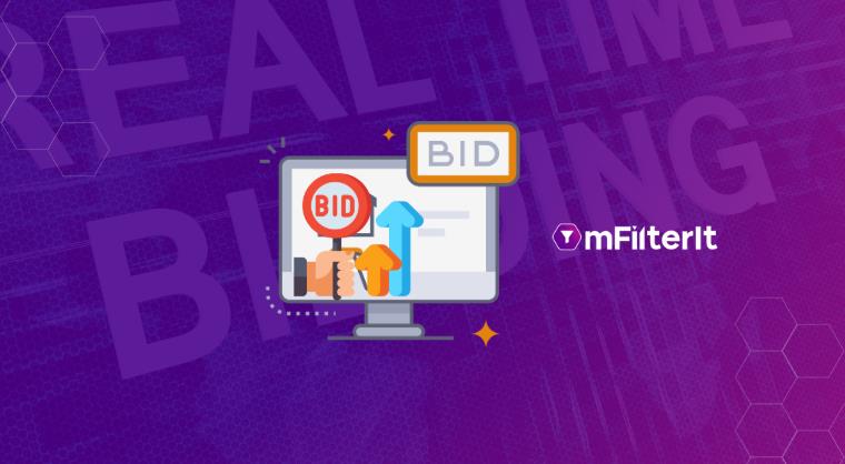 Cloaking in Brand Bidding: How Fraudsters Conceal Their Tracks to Evade Detection?