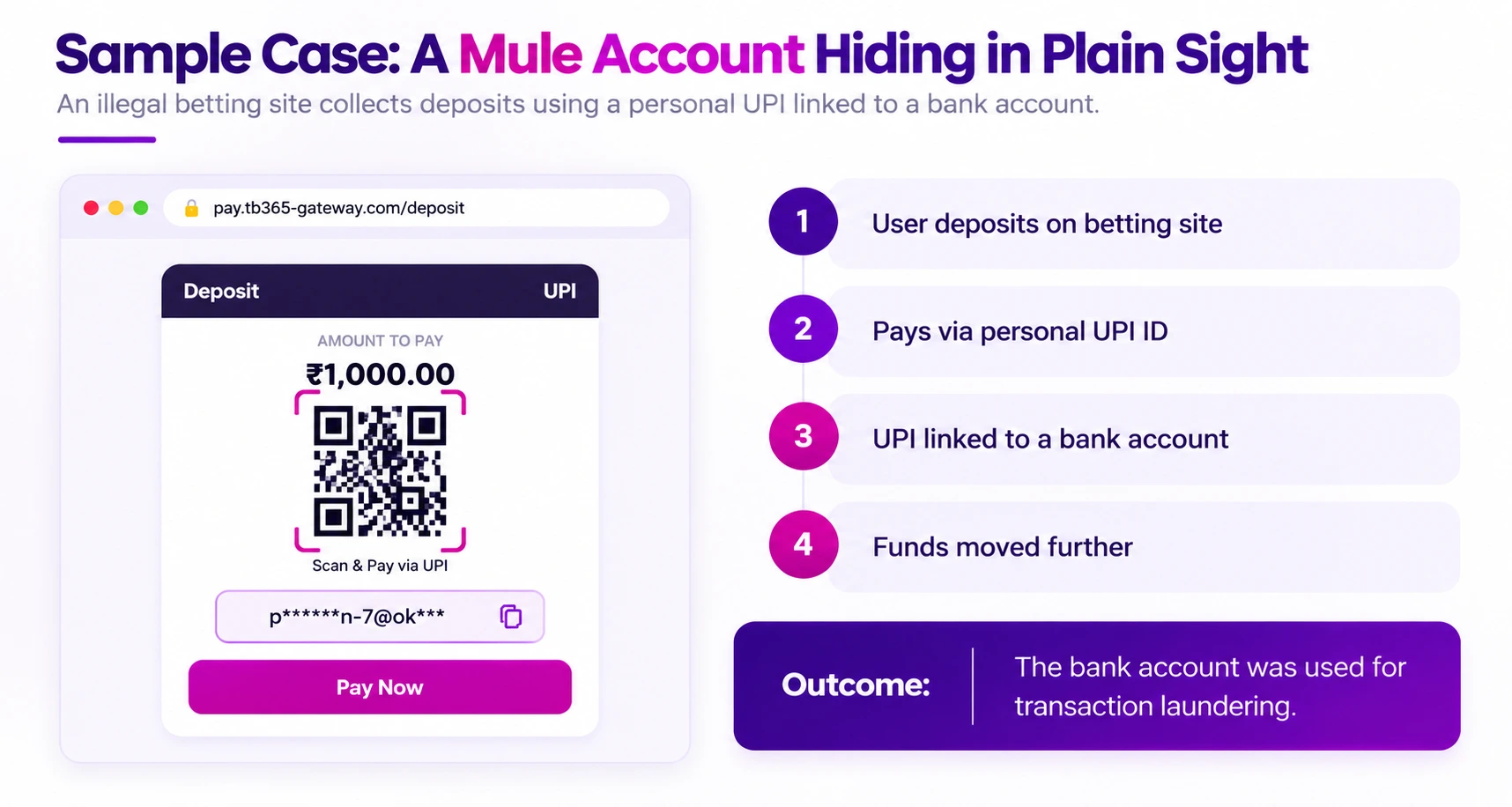 Mule Account Detectio